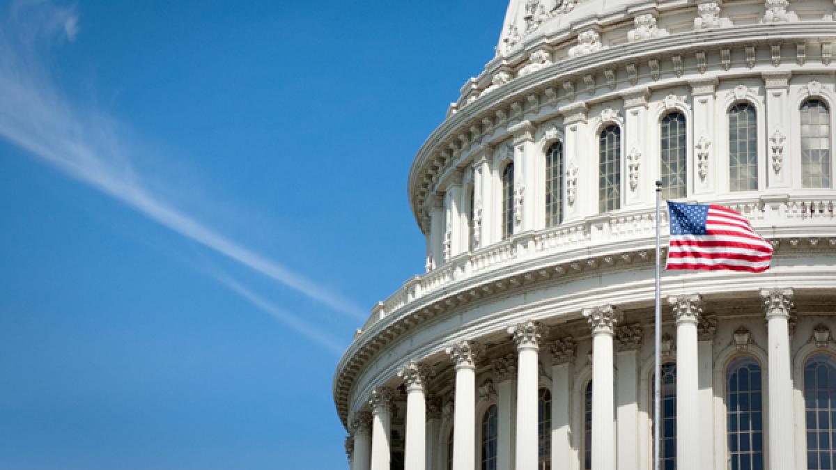 United States Capitol Dome and Flag