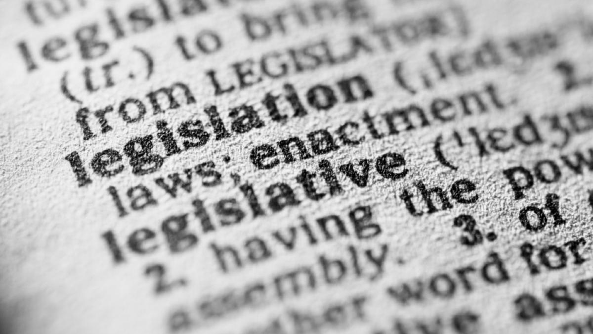 dictionary entry for the word legislation